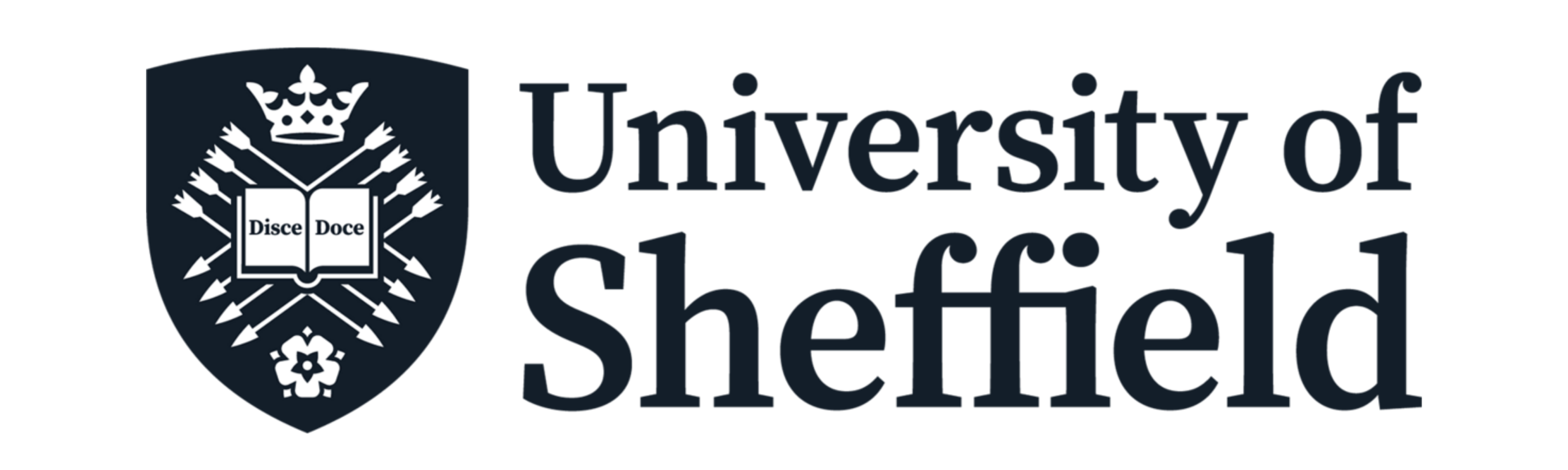 University of Sheffield